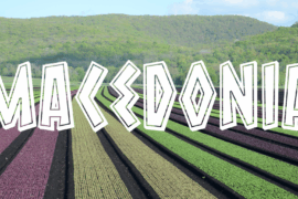 Macedonia Font Family