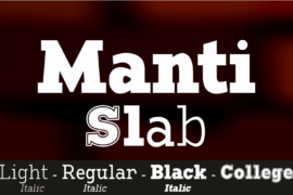 Manti Slab Font Family