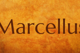 Marcellus Font