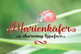 Marienkaefer Font