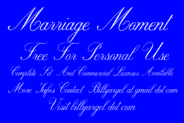 Marriage Moment Personal Use Font