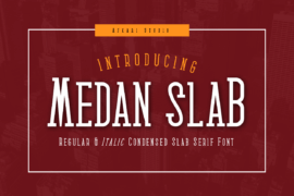 Medan Slab Font Family