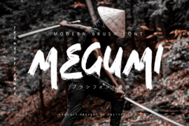 MEGUMI Font