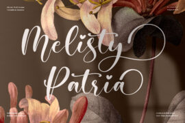 Melisty Patria Font Family
