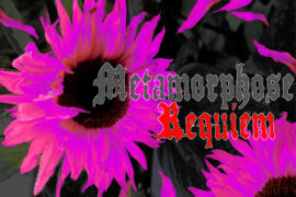Metamorphose Requiem Font