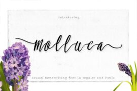 Molluca Font Family