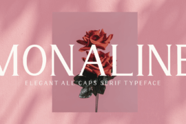 Monaline Font