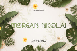 Morgan Nicolai Demo Font