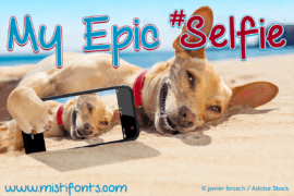 My Epic Selfie Demo Font