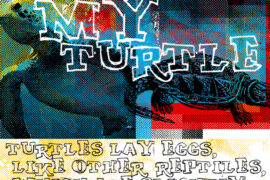 MY TURTLE Font