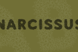 Narcissus Font