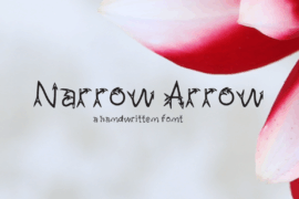 Narrow Arrow Typeface Font