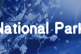 National Park Font Family