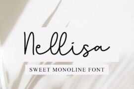 Nellisa – Personal Use Font
