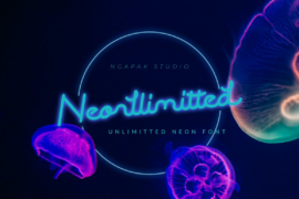 neonllimitted Demo Font