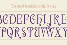 Nerea Font
