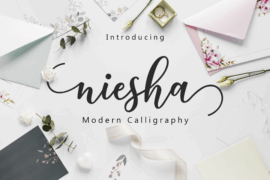 niesha Font
