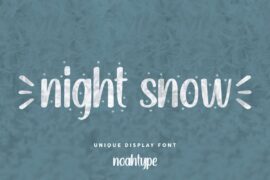 Night Snow Demo Font