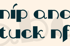 Nip And Tuck NF Font