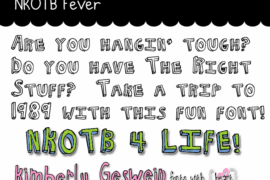 NKOTB Fever Font
