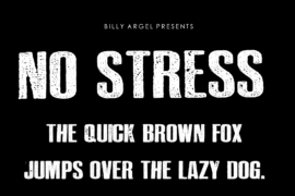 NO STRESS PERSONAL USE Font