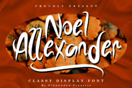 NOELALEXANDER DEMO Font