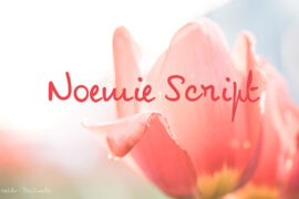 NoemieScript Font
