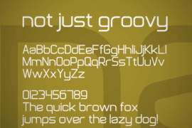 Not Just Groovy Font