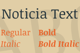 Noticia Text Font Family