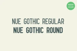 Nueue Gothic Font