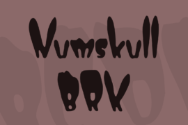 Numskull BRK Font