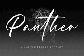 Panther Demo Font