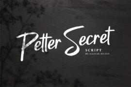 Petter Secret Demo Version Font