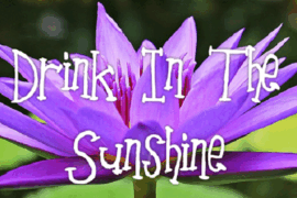 Picnic For Two _ Cosy Font