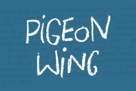 Pigeon Wing DEMO Font