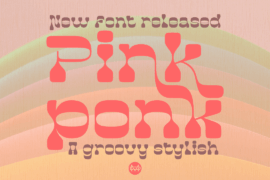 PinkponkDemo Font