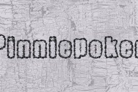 Pinniepoker Font