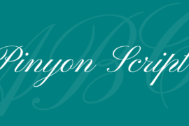 Pinyon Script Font