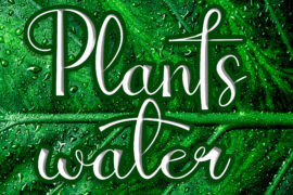 Plants Water Font