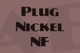 Plug Nickel NF Font