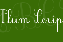 Plum Script Font