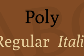 Poly Font Family
