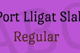 Port Lligat Slab Font