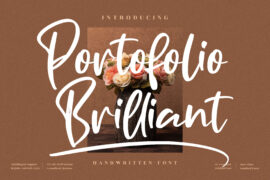 Portofolio Brilliant Font Family