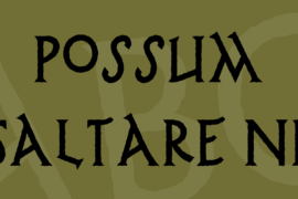 Possum Saltare NF Font