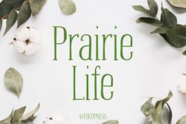 Prairie-Life Font