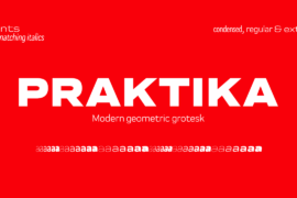 Praktika Font Family