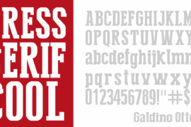 Press Serif Cool Font
