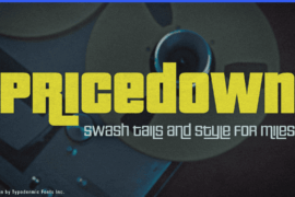 Pricedown Font