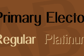 Primary Elector Font Family